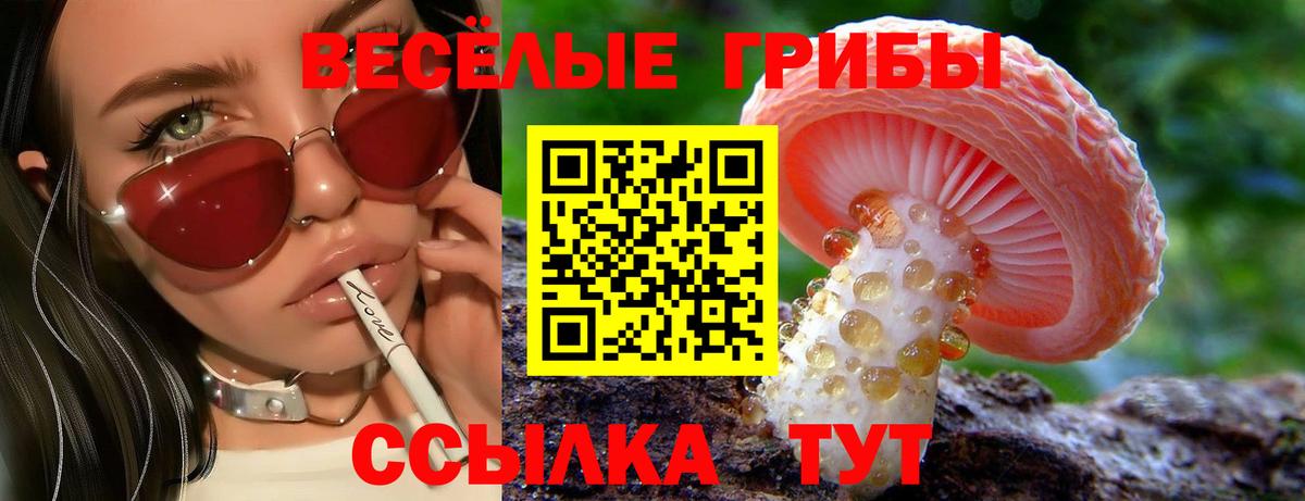 Галлюциногенные грибы GOLDEN TEACHER  Вход с VPN  Чернушка 