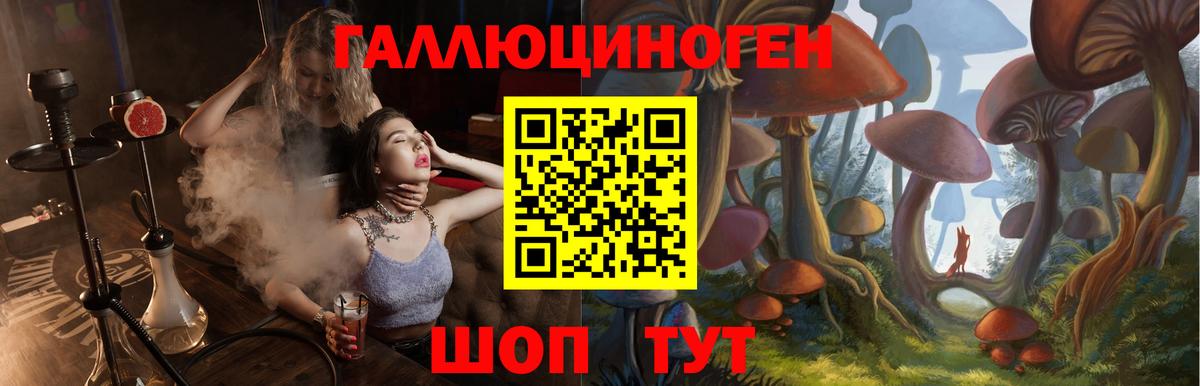 Галлюциногенные грибы мицелий Чернушка